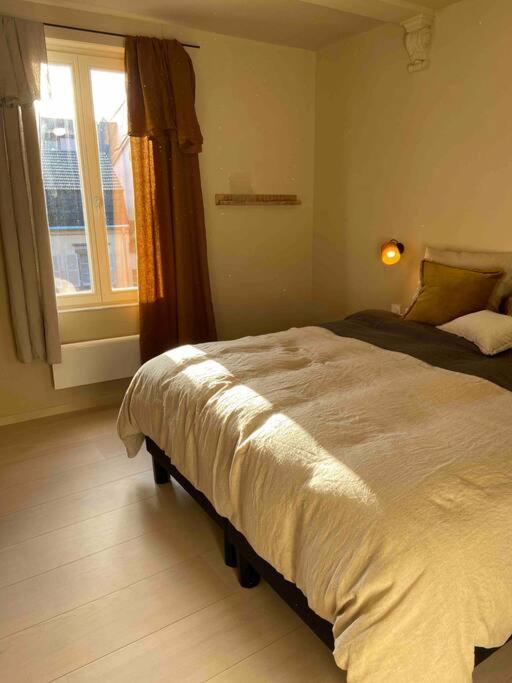 Suites Du Trefle Colmar Exteriör bild